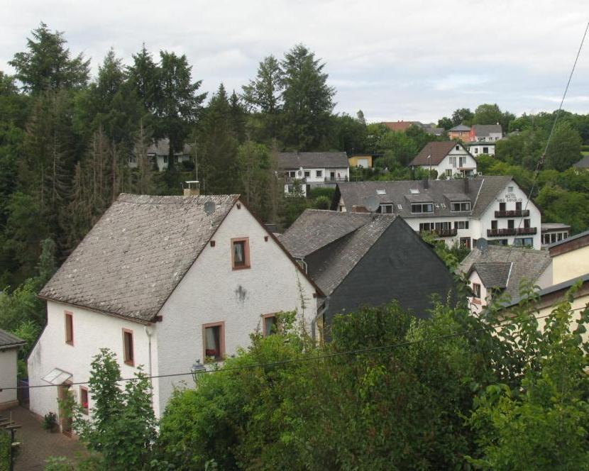 Um Die Ecke Apartman Manderscheid Kültér fotó